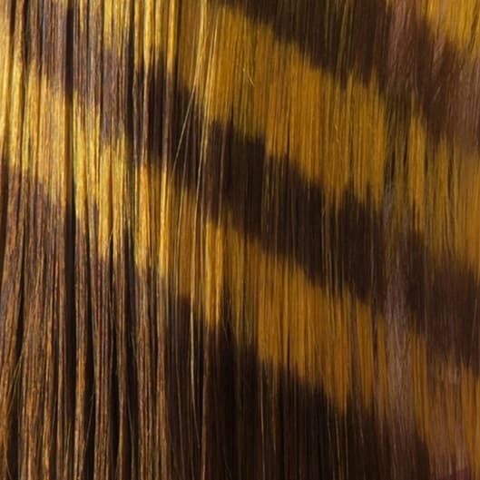 Keratin Smoothing with Paxton at Luma Salon in Bethesda, MD